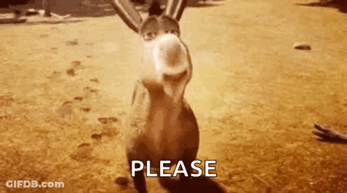 Donkey Standing On Dirt Field GIF