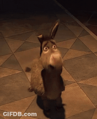 Donkey Standing On Tiled Floor GIF