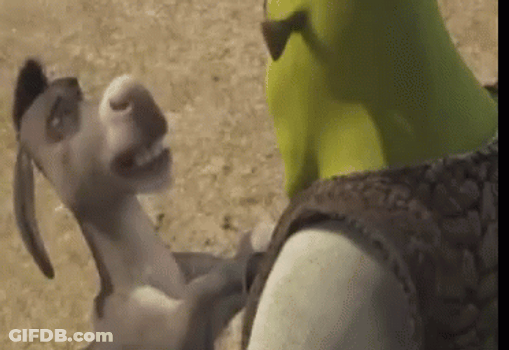 Donkey Talking To Mad Shrek GIF