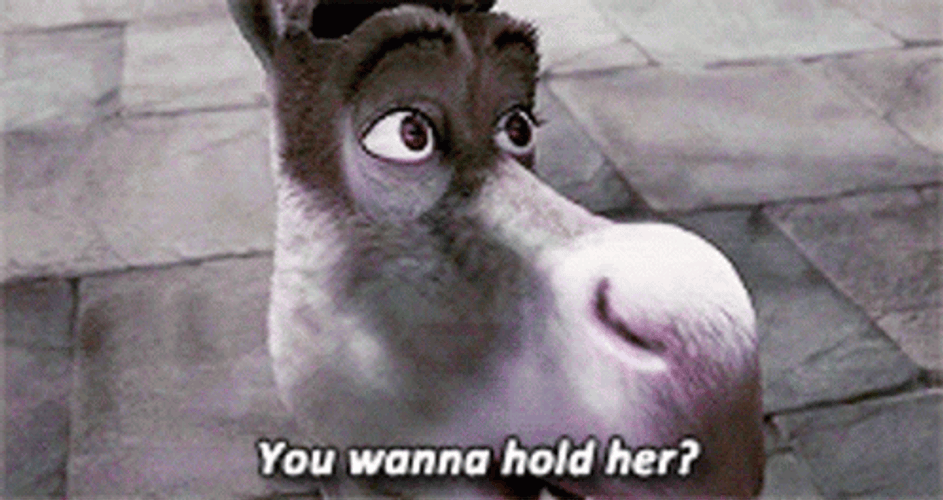 Donkey Teasing Shrek Woman Love GIF