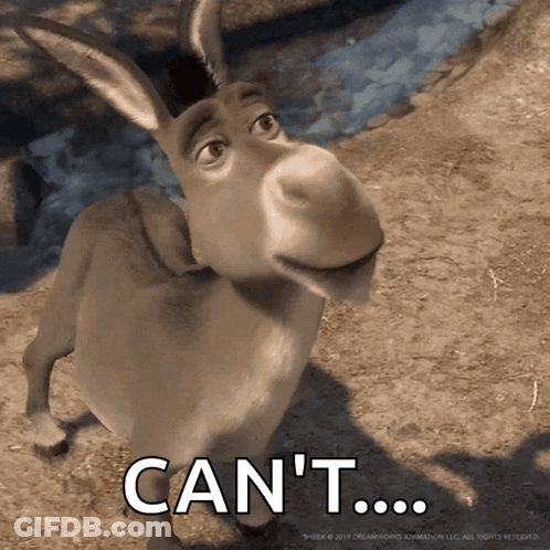 Donkey With Cant T Words GIF