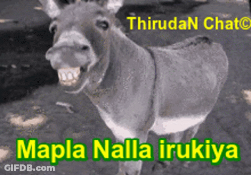 Donkey With Mapla Nella Irukiya Text GIF