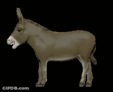 Donkey With Tongue Out GIF