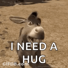 Donkey With You Call Me A Jackass Lol GIF