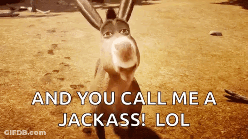 Donkey With You Call Me Jackass Lol GIF