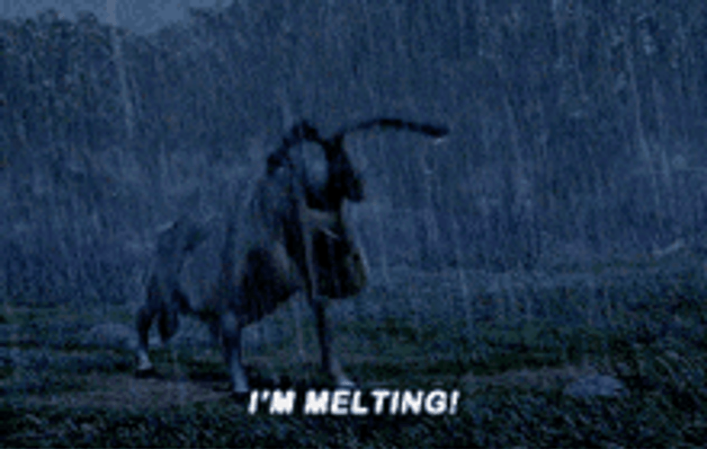 Donkey Yelling Under The Rain I'm Melting GIF