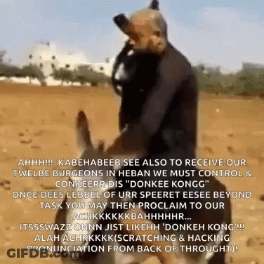 Donkeys Looking Out Window With Smart GIF