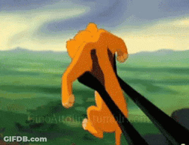 Donnie Thornberry Replaced Simba GIF