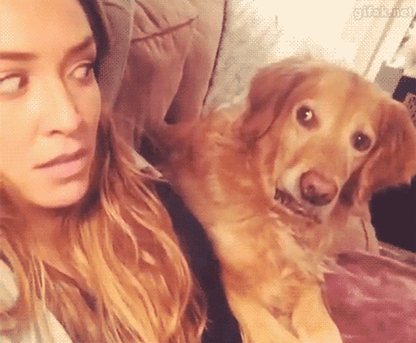 Dont Be Suspicious Hesitant Dog GIF