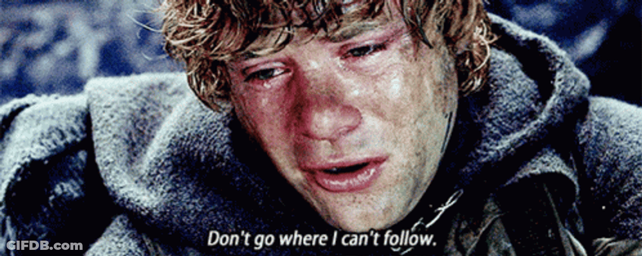 Dont Leave Me Samwise Gamgee LOTR GIF