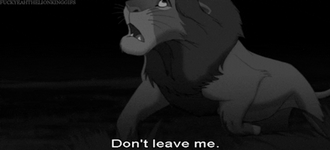 Dont Leave Me Simba Lion King GIF