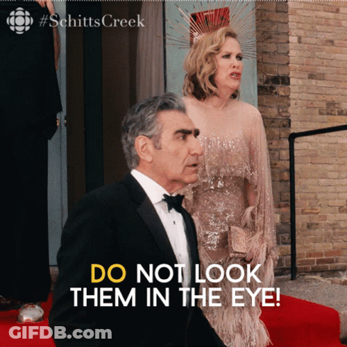 Dont Look At Me David Rose Schitts Creek GIF