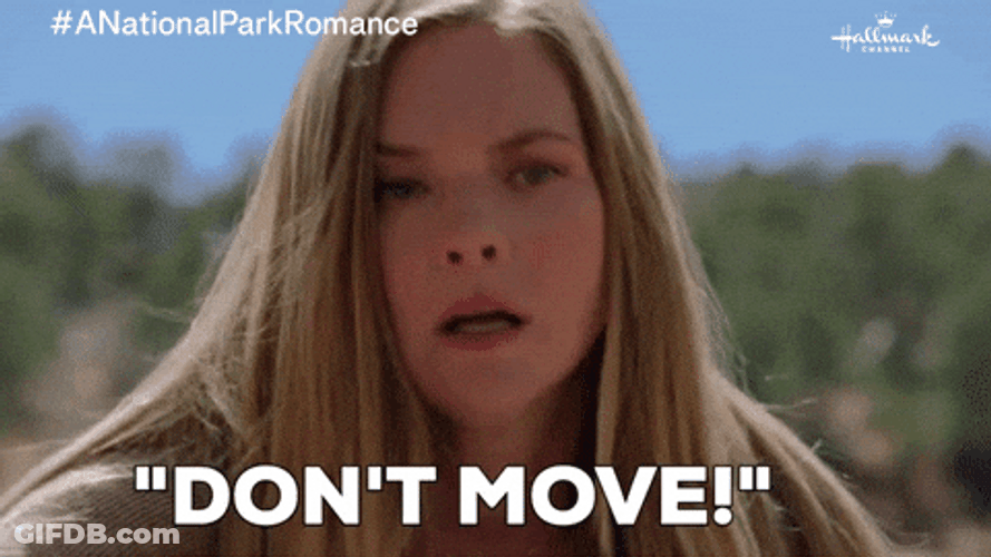 Dont Move Cindy Busby GIF