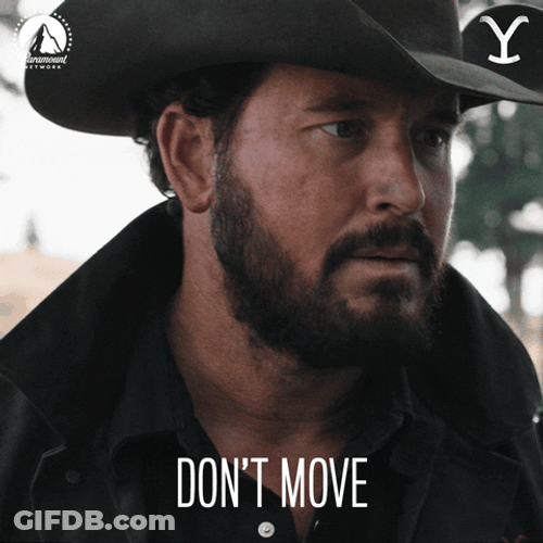 Dont Move Cole Hauser Yellowstone GIF