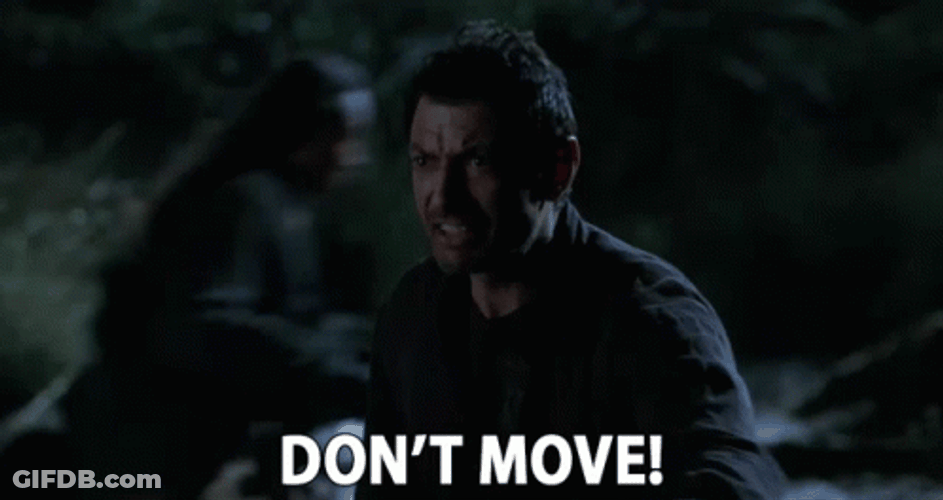 Dont Move Jeff Goldblum Jurassic Park GIF