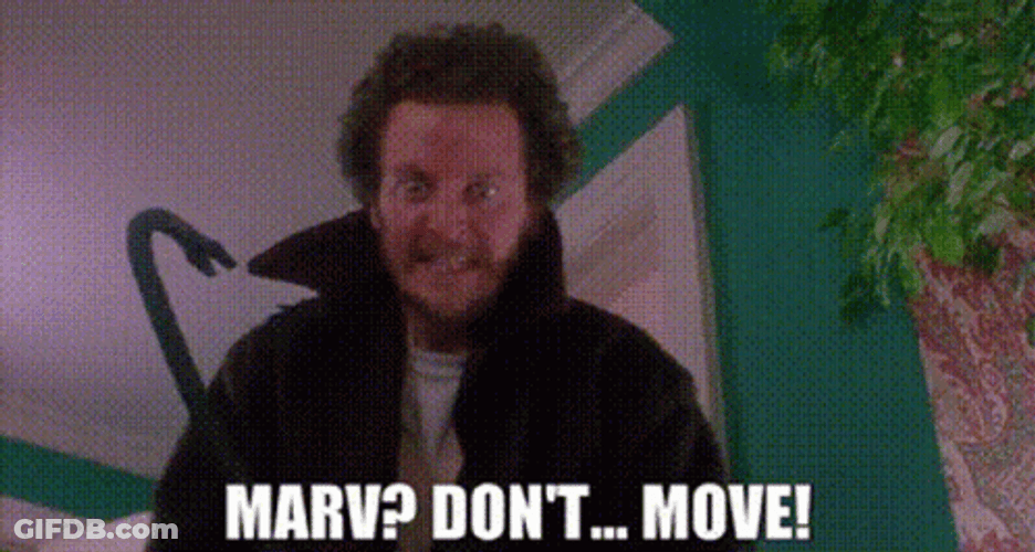 Dont Move Marv Murchins Home Alone GIF