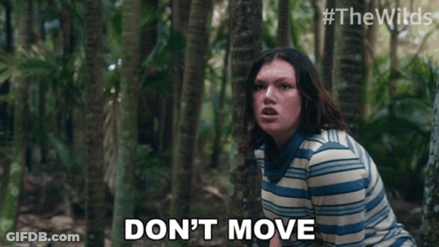Dont Move Shannon Berry The Wilds GIF