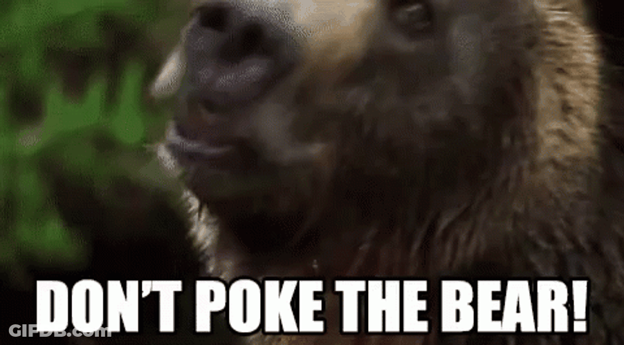 Dont Poke The Bear GIF