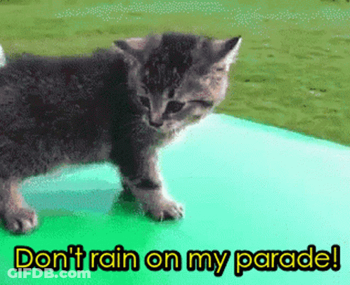 Dont Rain On My Parade Funny Animals GIF