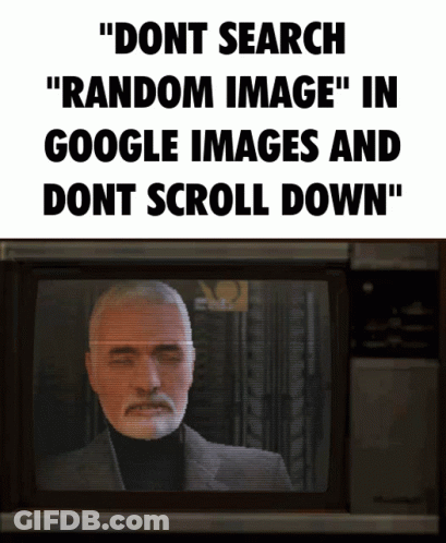 Dont Search Random Image Dont Scroll Down GIF