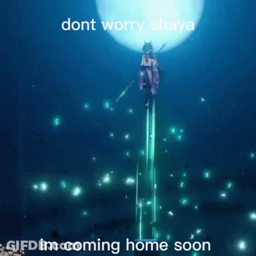 Dont Worry Shaya Im Coming Home Poster GIF