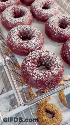 Donuts With Powdered Sugar GIF