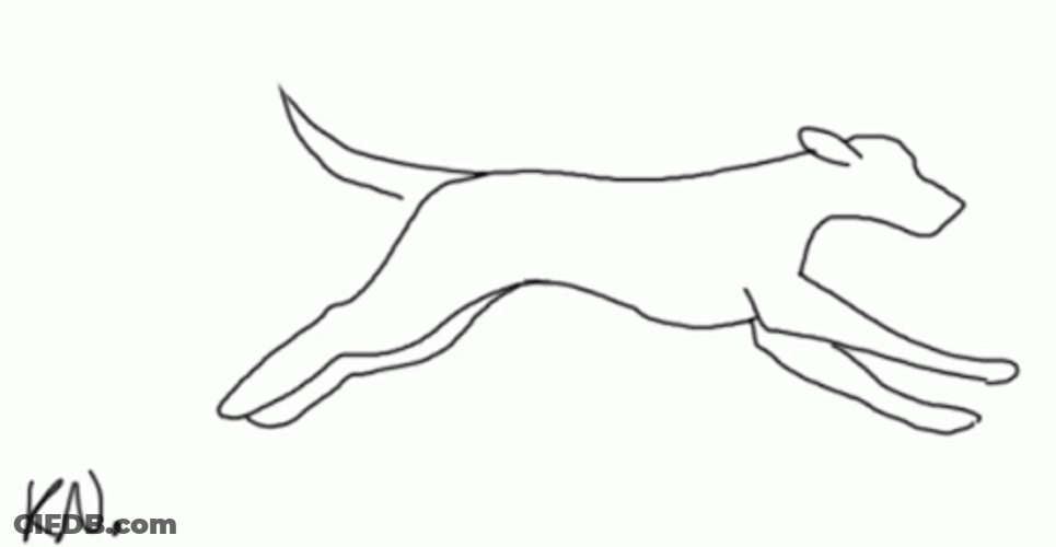 Doodle Dog Running GIF