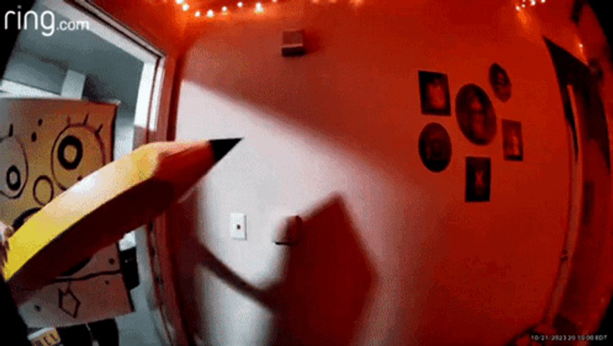 Doodlebob Spongebob Running GIF