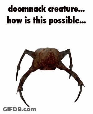 Doomnack Creature How Is This Possible GIF