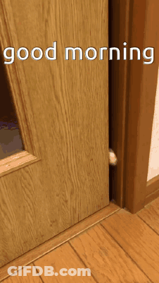 Door With Good Morning Text GIF