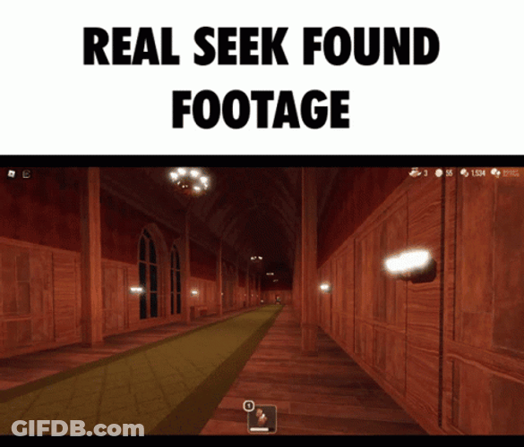 Doors Seek Real Footage Video Game GIF