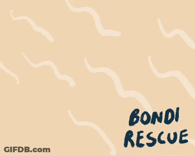 Dope Cartoon Bondi Rescue Animation GIF