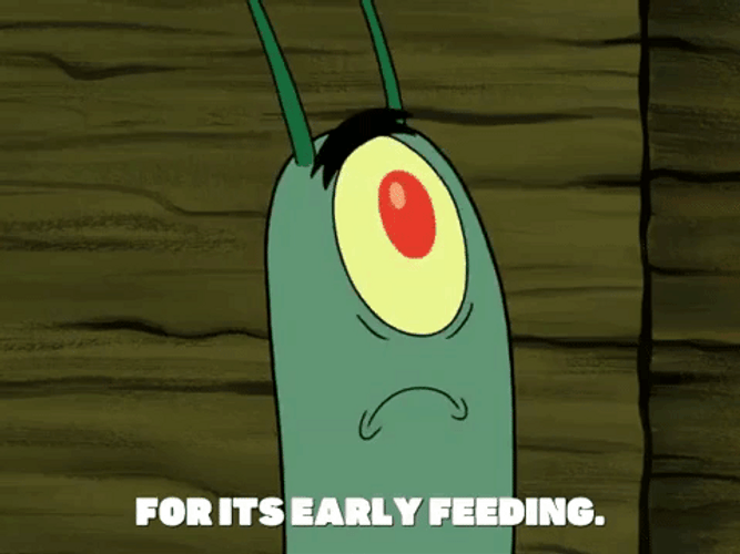 Dope Cartoon Plankton Shocked GIF