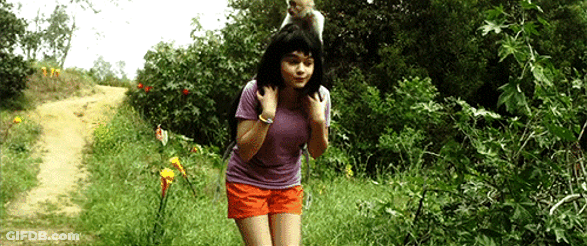 Dora Meme There Is A Bomb GIF