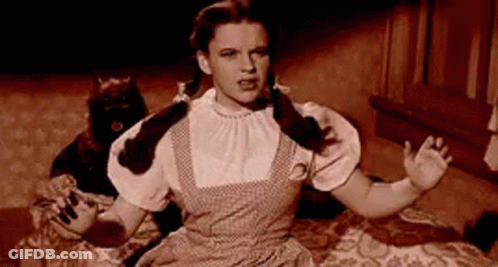 Dorothy From The Wizard Of Oz Is Sitting On A Bed With A Black Cat Behind Her . GIF