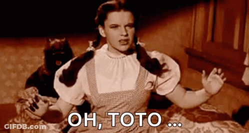 Dorothy From The Wizard Of Oz Is Sitting On A Bed With A Cat Behind Her And Says Oh Toto GIF