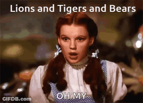 Dorothy From Wizard Of Oz Oh My GIF