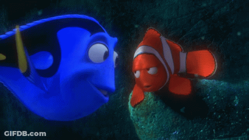 Dory And Clown Fish Looking At Each Other GIF