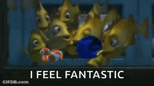 Dory And Clown Fish Looking At Each Other GIF