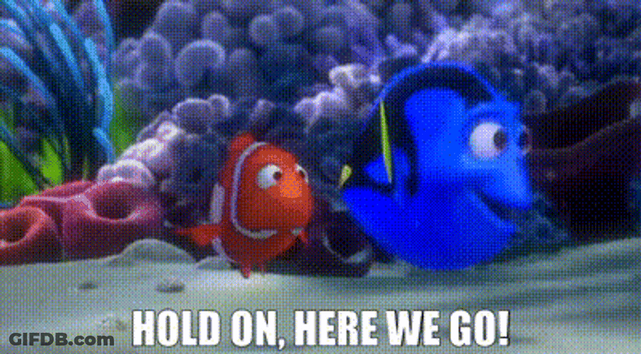 Dory And Nemo Hold On And Here We Go GIF