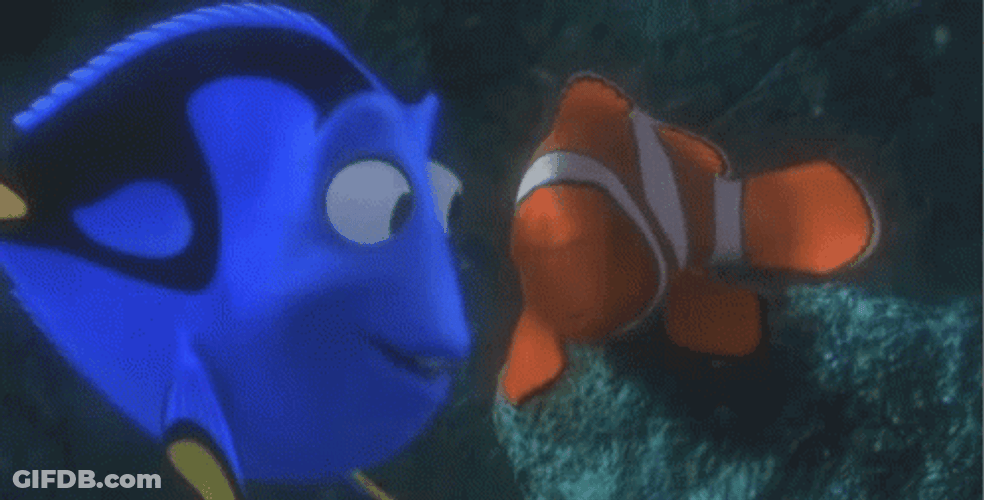 Dory Annoying Nemo GIF
