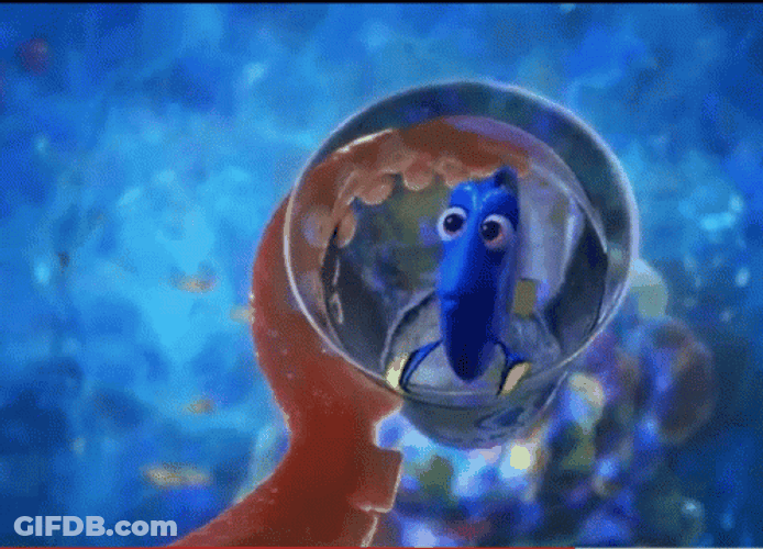 Dory Being Caught By Octopus GIF