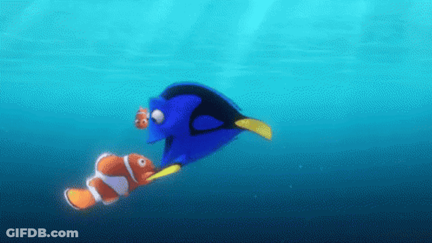 Dory Encircling Nemo GIF