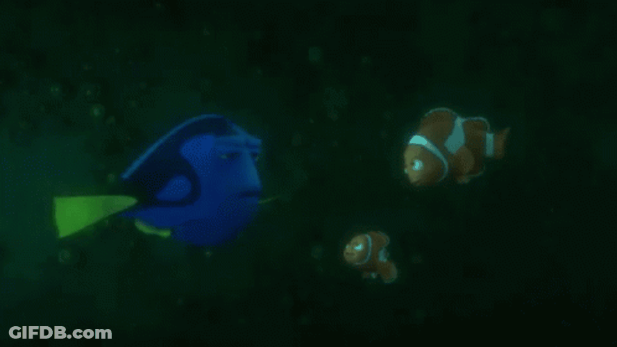 Dory Explaining To Nemo GIF