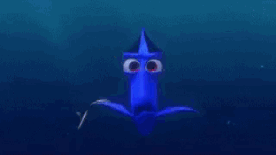 Dory Finding Dory GIF