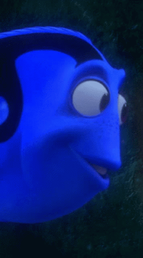 Dory Fish Swimming GIF