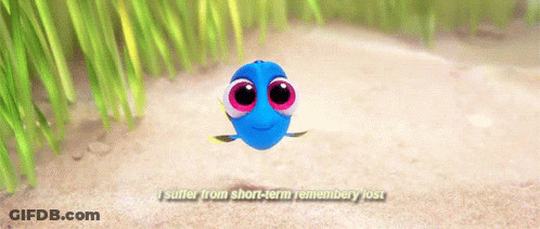 Dory Flying I Suffer From Short-Term Rememberry Lost GIF