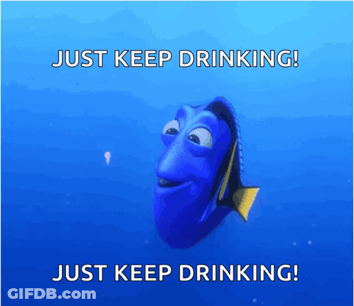 Dory From Finding Nemo GIF