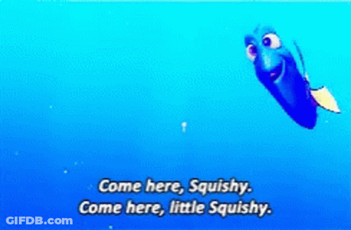 Dory From The Movie Finding Dory Is Swimming In The Ocean And Saying Come Here Squishy Come Here Little Squishy GIF