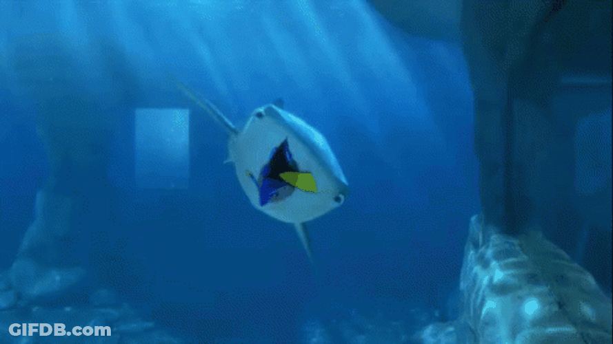 Dory Getting Chased By Sharks GIF